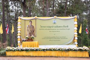 สำนักงาน กสทช.ร่วมกิจกรรมโครงการปลูกป่าเฉลิมพระเกียรติพระบาทสมเด็จพระเจ้าอยู่หัว เนื่องในโอกาสมหามงคลเฉลิมพระชนมพรรษา 28 กรกฎาคม 2568 